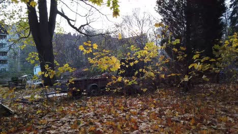 a-walk-in-the-woods-in-Berlin-Germany-Nature-dead-leaves-trees-colors-of-Autumn-HD-30-FPS-11-secs