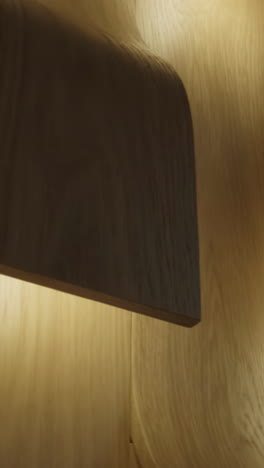 Modern Wooden Wall with Integrated Lights