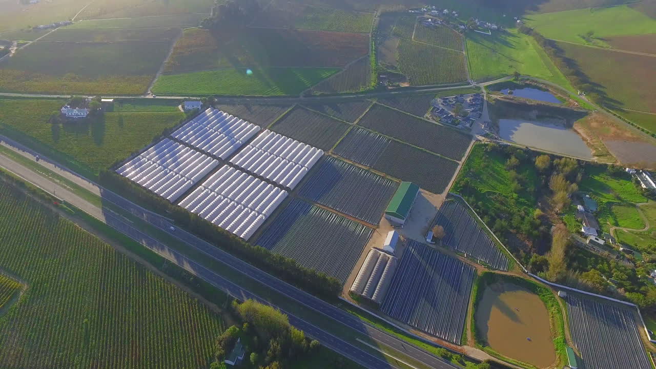 Life grows in the greenhouse