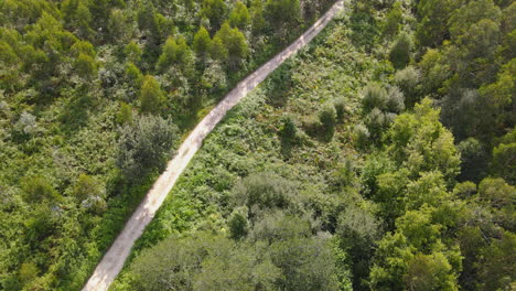 aerial view of a dirt road in a countryside area in a sunny day