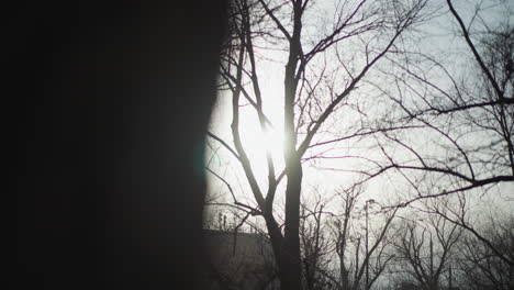 bare tree branches silhouetted against bright sunlight with faint outline of church dome and cross in distance, creating serene winter cityscape scene with calm sky and subtle atmospheric haze