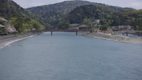 río uji y puentes, pan que establece tiro durante la primavera en japón