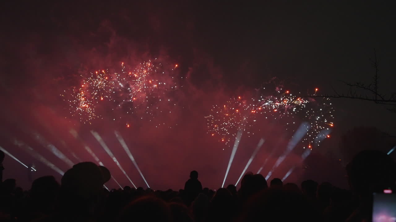 Guardare i fuochi d'artificio che esplodono insieme sotto il cielo notturno.