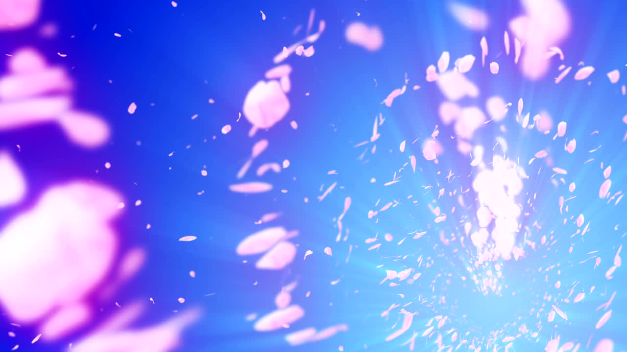 꽃의 나선형 반이는 입자, 사쿠라 패턴, 일본의 꽃 춤, 분홍색 꽃잎의 소용돌이, 추상적인 루프 애니메이션.