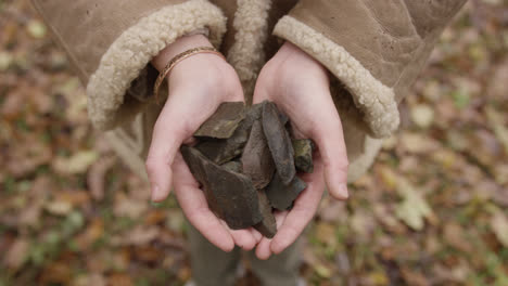 Hands-holding-rocks-and-slate-in-woodland-area