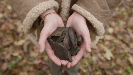 hands holding rocks and slate in woodland area