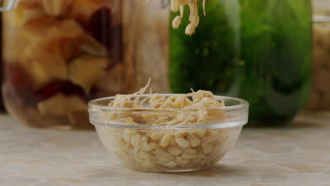 salted soybean fermented in jar, chinese soy production, marinated food, germinated soy close up in cafe restaurant.