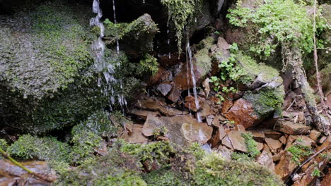 Water-flowing-over-moss-stones