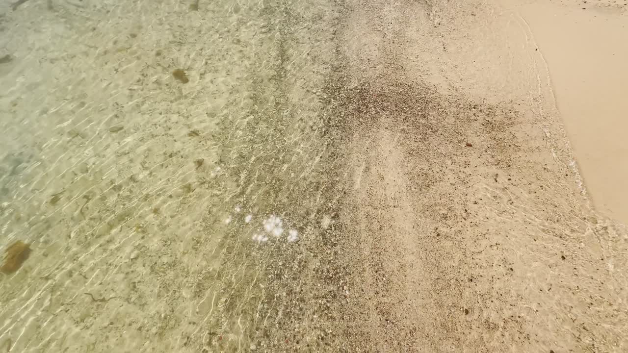 해변과 파도에서 은 날