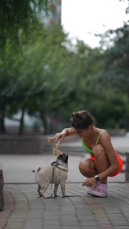 woman playing with a pug in a park