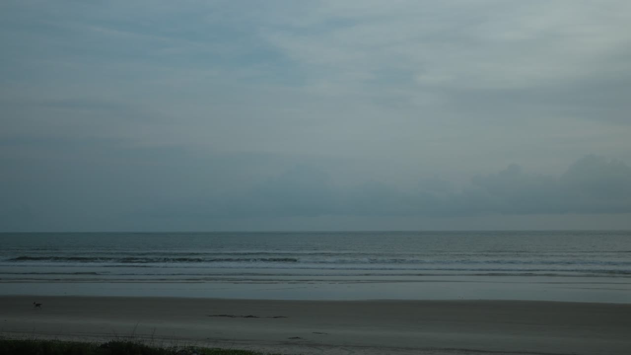 A wide shot of a sandy beach with rolling waves, a grey sky with clouds, and a couple of birds walking on the shore