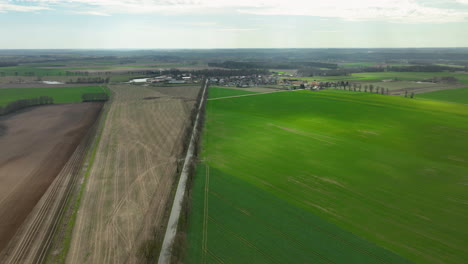 aerial - contrast of cultivated and green fields from above, with a dividing path