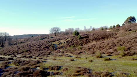 Asombrosa-Toma-Lenta-De-Drones-De-La-Naturaleza-A-Través-De-Un-Parque-Nacional