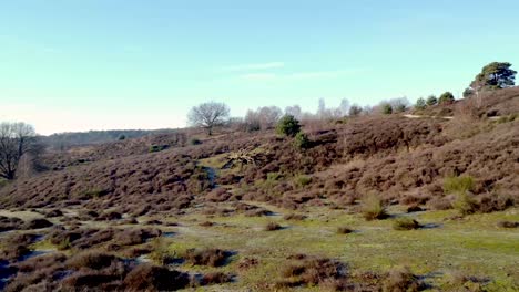 asombrosa toma lenta de drones de la naturaleza a través de un parque nacional
