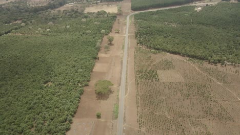 A-lonely-road-without-cars-in-the-forest-area-of-kenya-Tanzania-boarder