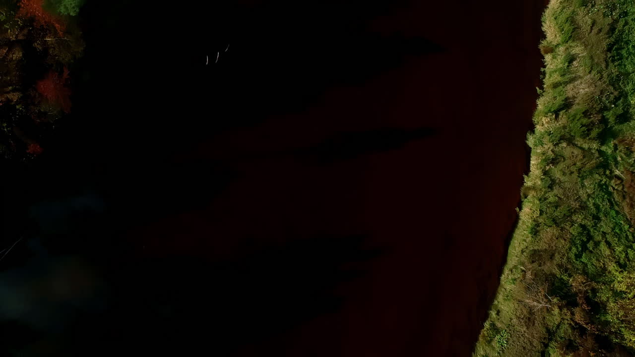 la antena revela el sorprendente castillo de turaida rodeado de un vibrante follaje forestal otoñal