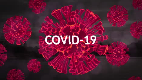 animación de los virus de covid 19 sobre el texto de covid 19