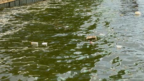 floating debris in polluted bangkok waterway