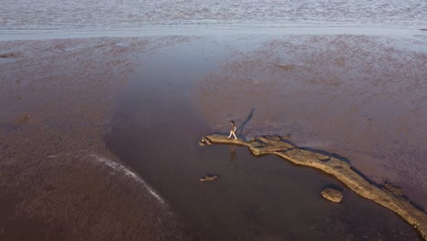 4k aerial view of woman walking of outstanding rocks during ebb tide of river plate in buenos aires - beautiful sunset light over water landscape