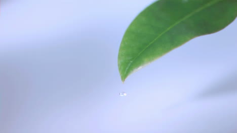 drop flowing in super slow motion