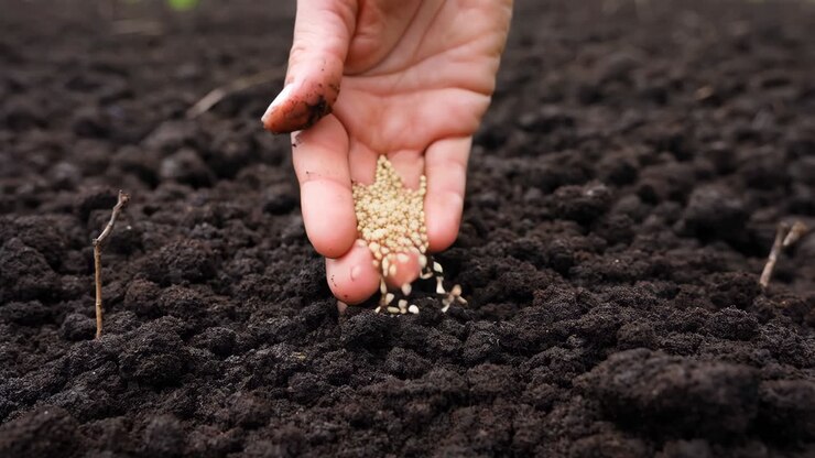 A hand sowing seeds into dark soil