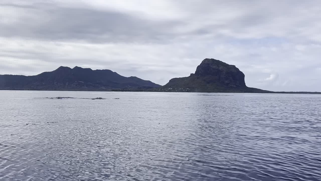 Una megattera espelle un'enorme nuvola di vapore dalla superficie dell'acqua con il monte Morne sullo sfondo.