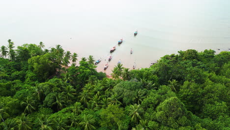 passagierboote, die an der küste von koh lanta an land gebunden sind und von palmen umgeben sind,