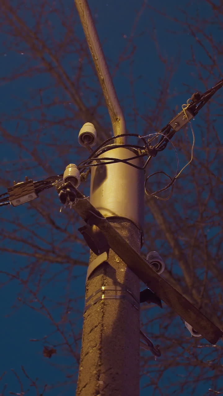 poste de servicios públicos con cables entrelazados y conectores siluetados contra un cielo de crepúsculo azul profundo, rodeado de ramas de árboles desnudas, capturando una atmósfera urbana de invierno