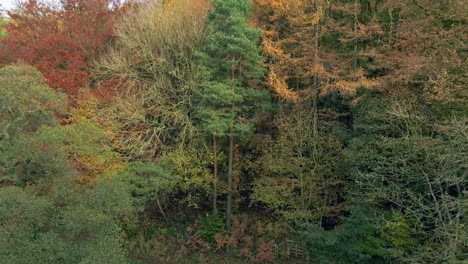 North-York-Moors,-Yorkshire,-Drohnenaufnahmen-Vom-Fluss-Esk,-über-Der-Glaisdale-Bettlerbrücke,-Phantom-4-Aus-Der-Luft---Herbstclip-15