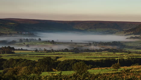 North-York-Moors-Danby-Dale-Lapso-De-Tiempo-Con-Ovejas-Pastando-Y-Niebla-En-El-Suelo,-Evaporándose-En-El-Sol-De-La-Mañana