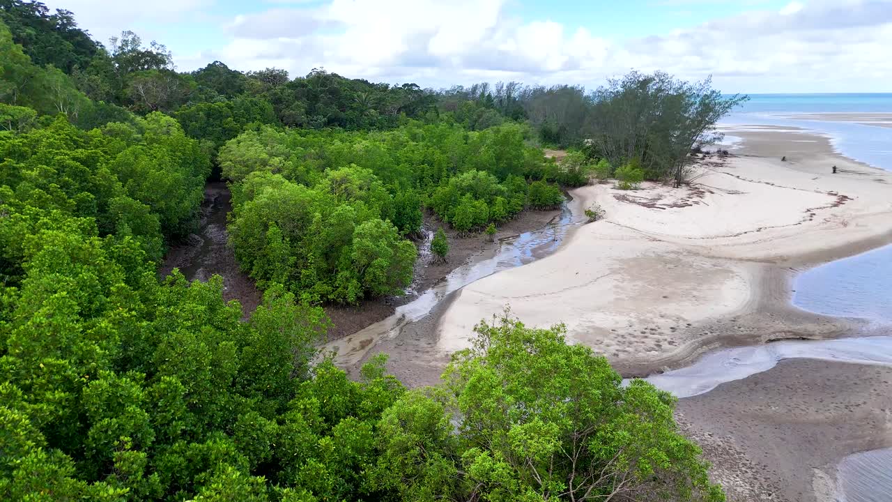 Drone glides above lush mangroves toward remote sandy beach, daylight, wide aerial perspective