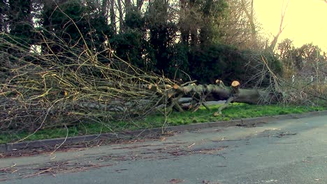 Un-árbol-Derribado-En-Paralelo-A-Una-Carretera-Muy-Transitada-Debido-A-Los-Fuertes-Vientos-De-La-Tormenta-Eunice-En-Todo-El-Reino-Unido