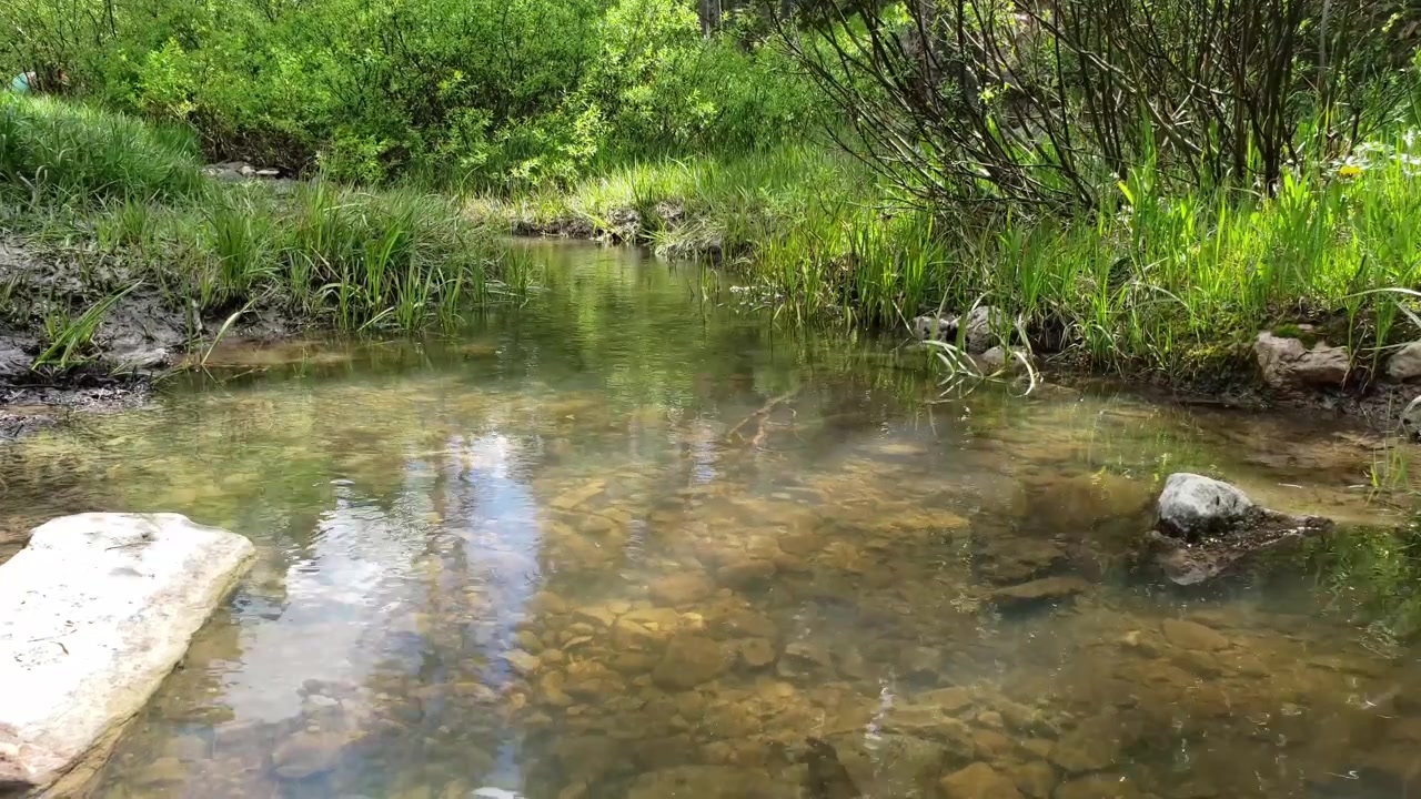 Relaxing near natural creek, Wyoming
