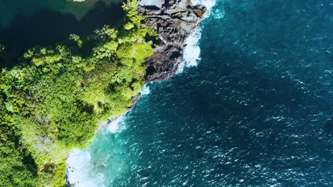 topdown view along lush vegetation with turquoise water from waioka pond, hawaii