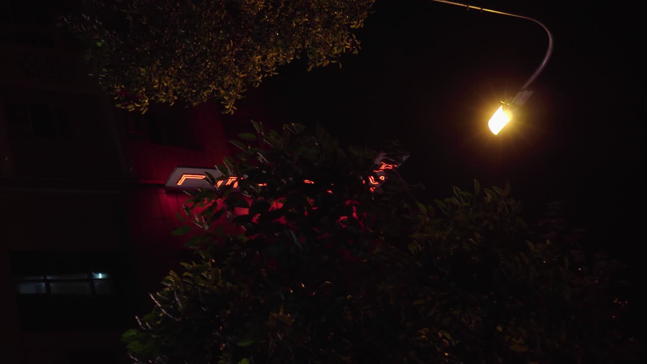 베트남 호치민시의 배경에 네온 사인이 있는 공원에서 밤에 바스락거리는 나뭇잎, 베트남 수직 비디오