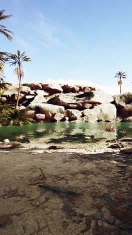 peaceful oasis in the desert