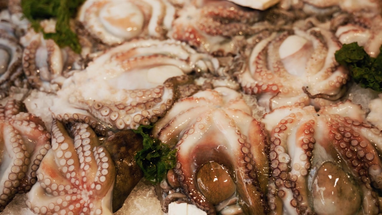 Octopuses at a fish in a typical market in Naples outdoor