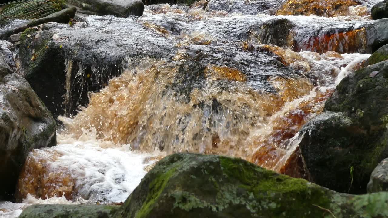 un bosque sereno en otoño e invierno, un suave arroyo fluye sobre las rocas, formando pequeñas cascadas