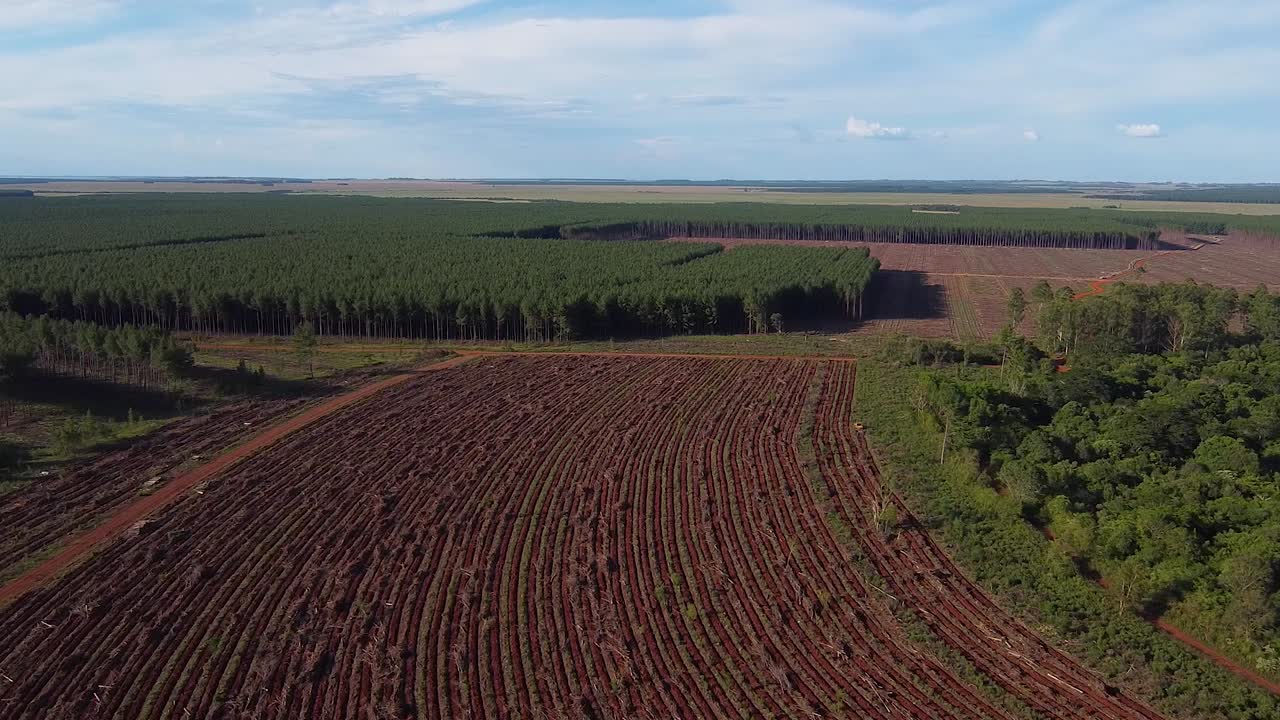 toma aérea de un drone de una tierra agrícola recién preparada entre un bosque en posadas de misiones argentina