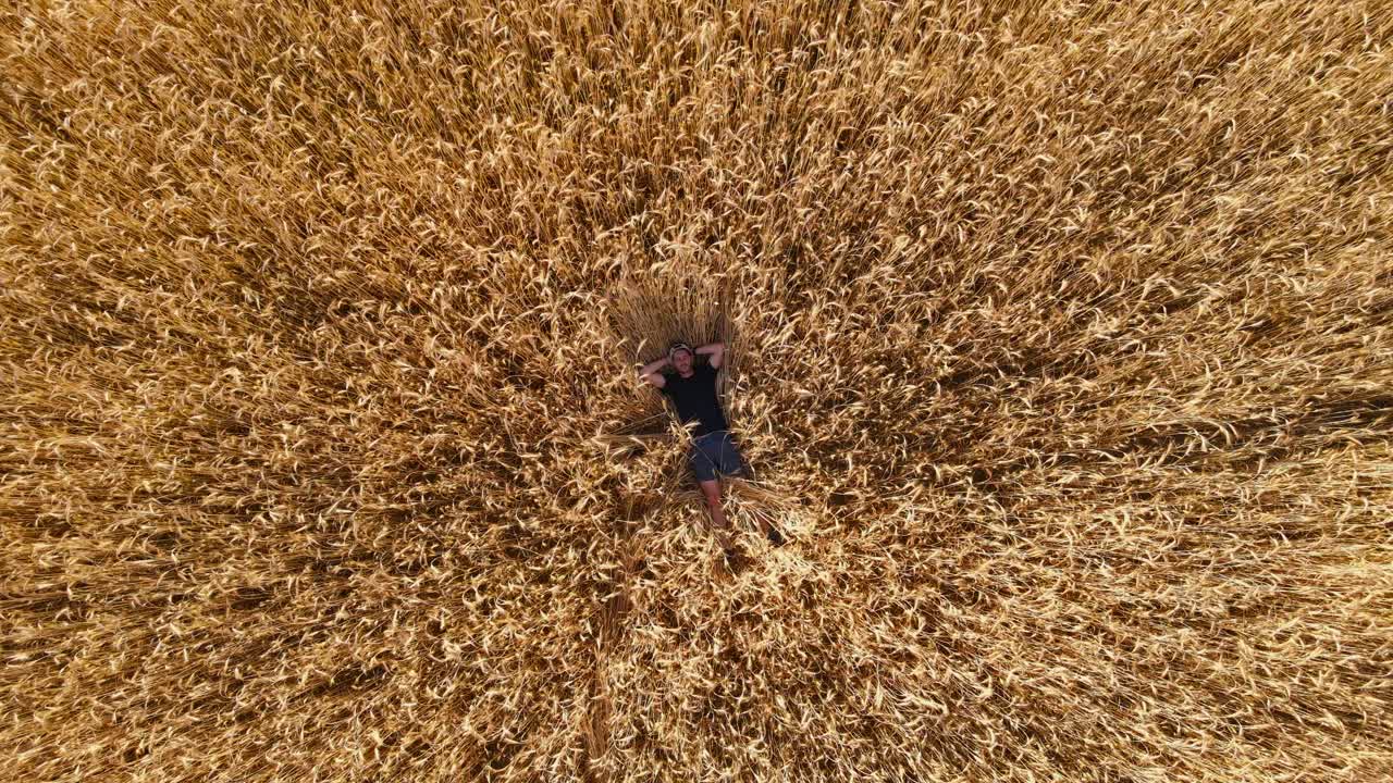 hombre acostado relajado en el medio de un campo de trigo