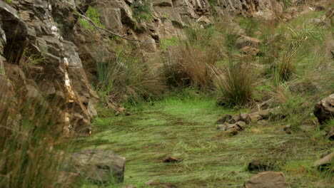 Anakie-gorge-and-cliff-face-Brisbane-ranges-Australia