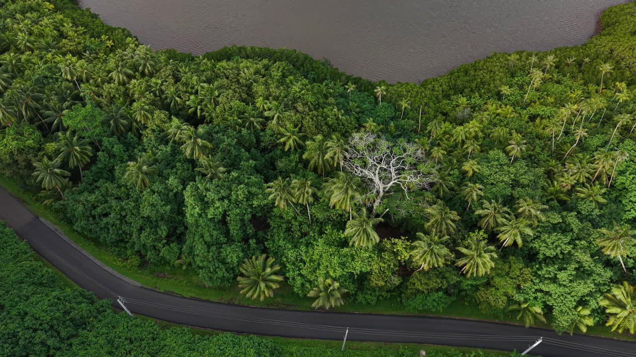 French Polynesia. Drone Shot of Tropical Rainforest and Road Along Coast, Green Exotic Landscape