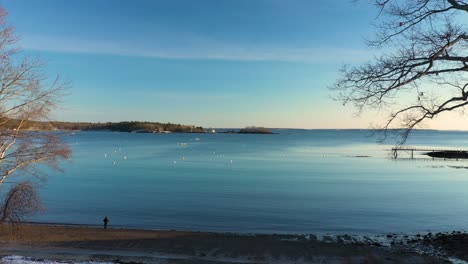aerial footage flying past a snowy park bench between trees and out past a lone person standing on the beach looking out over the calm ocean