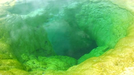 a green smoking pool of water in yellowstone national park