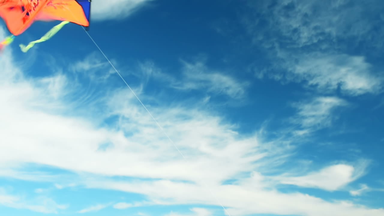 Aquilone nel cielo. Estate sulla spiaggia.