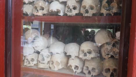 pilas de cráneos memorial del genocidio camboyano en phnom penh