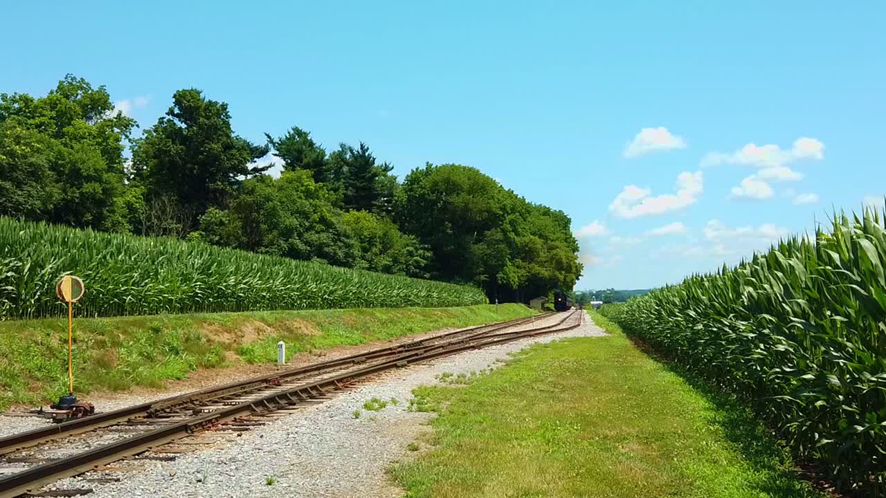 옥수수 밭 푸른 하늘과 구름이 거의 없고 골동품 증기 기관차가 접근하는 아름다운 화창한 날
