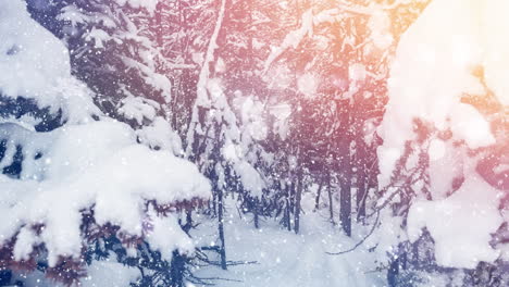 nieve cayendo y abetos