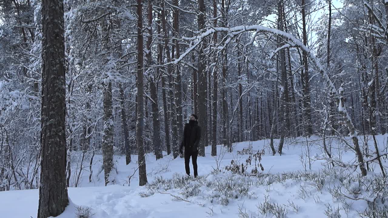 Hot male with black clothes walking up to a snow covered brown tree in a winter snow covered forest, shakes the tree and makes snow fall to the ground in slow motion. the man stands under falling snow