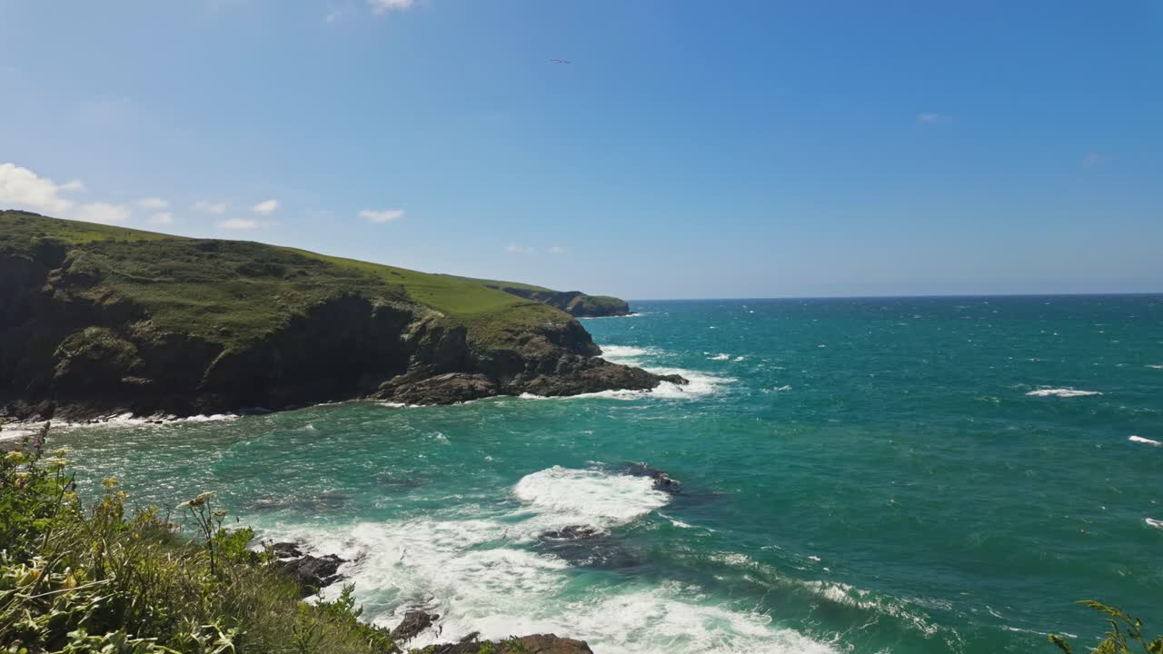 vista hacia abajo en la costa y el mar, follaje en primer plano, día soleado